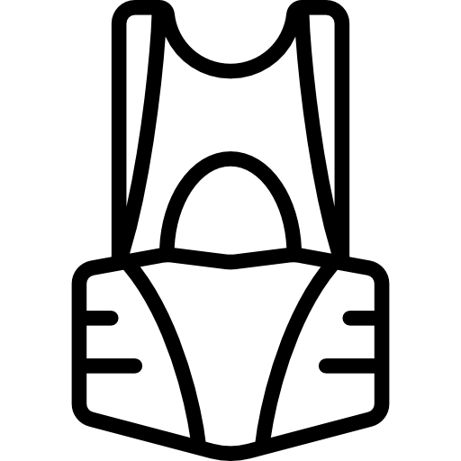 Ryggskydd